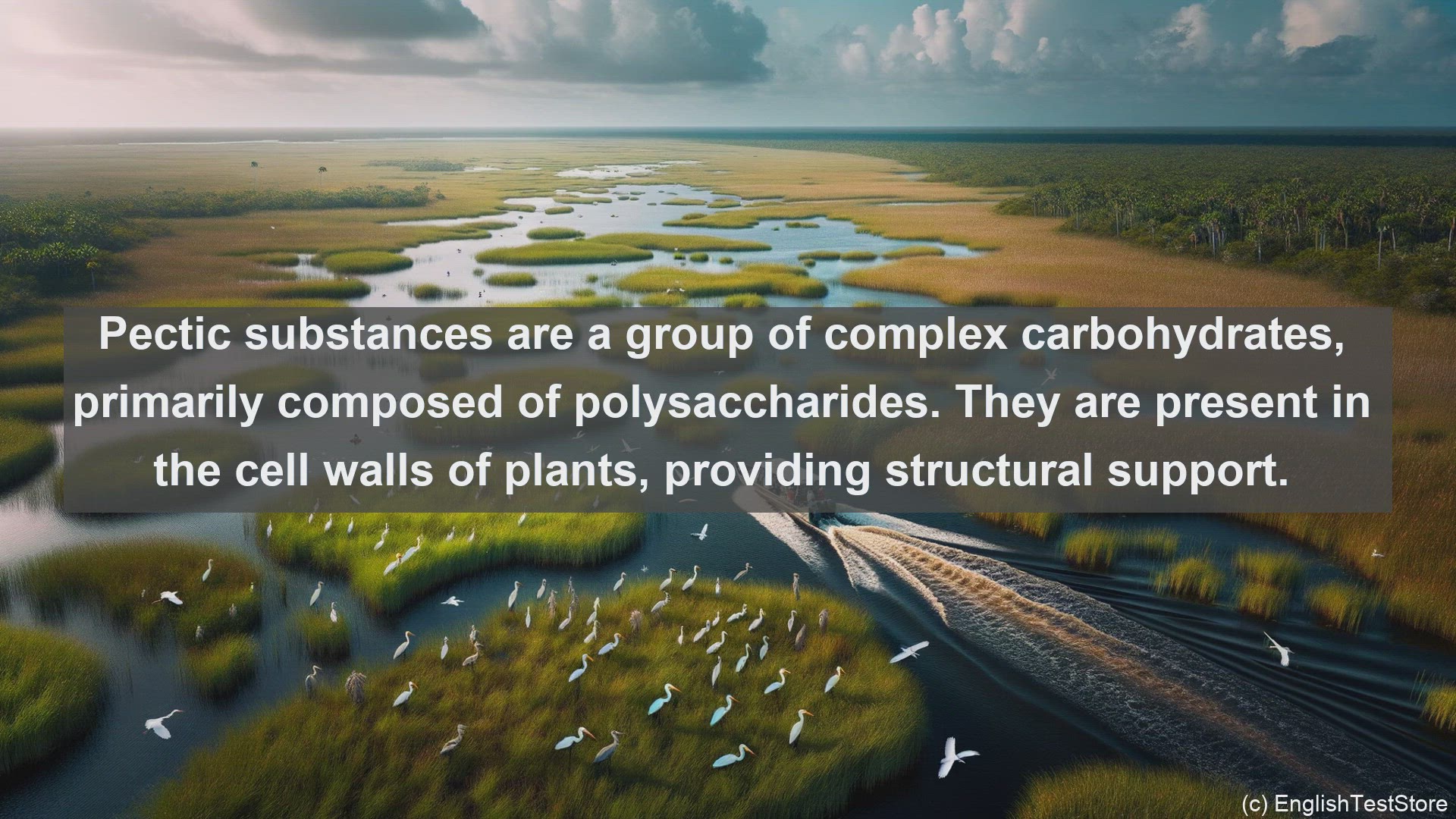 'Video thumbnail for Pectic substances in science  definition and examples'