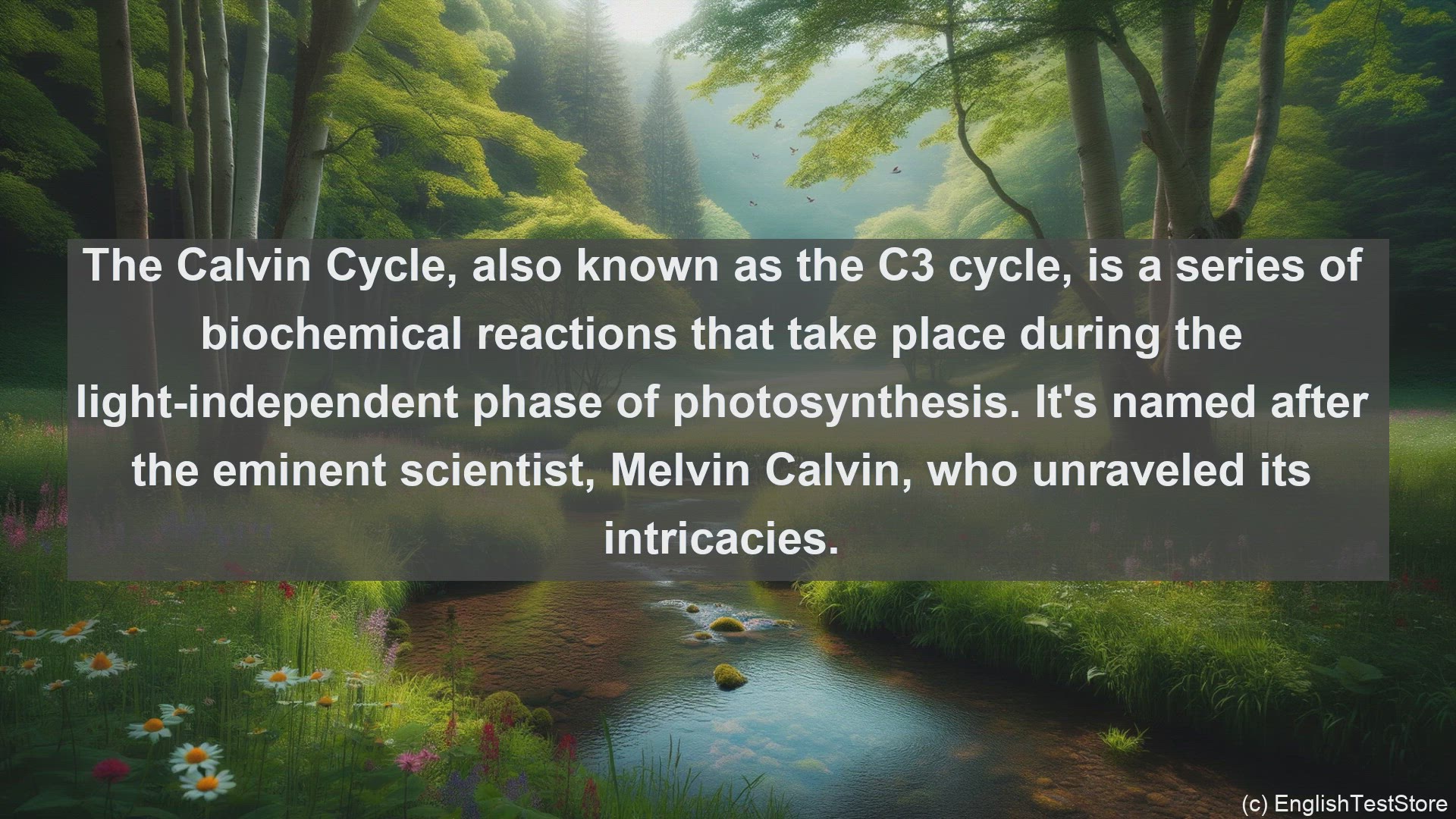 'Video thumbnail for Calvin cycle in science  definition and examples'
