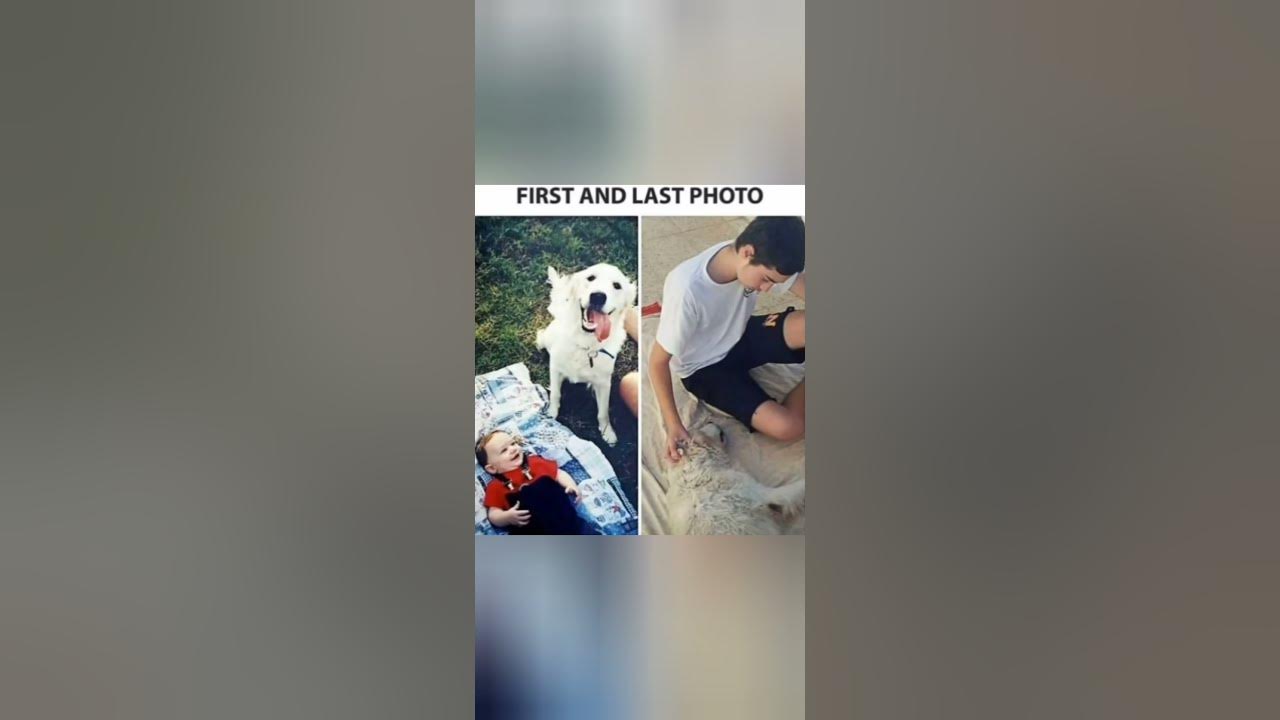 'Video thumbnail for Memes only Legends will find funny ,op memes | Relatable memes | #43 #shorts #memes #anonymous #meme'
