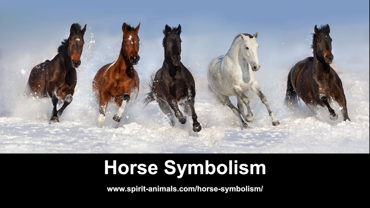 Horse Symbolism & Meaning  Spirit, Totem, & Power Animal