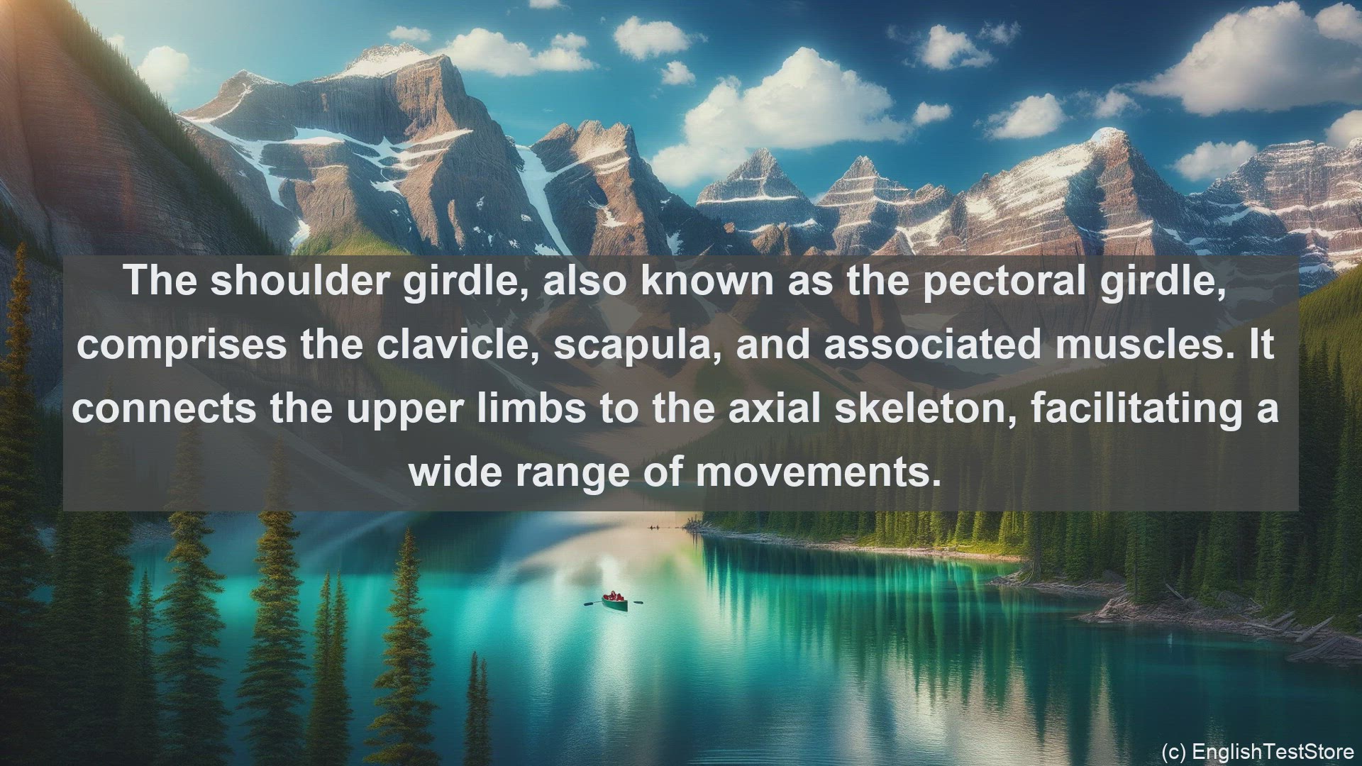 'Video thumbnail for Shoulder girdle in science  definition and examples'