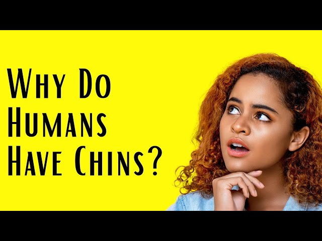 Video thumbnail for Humans Chin: Adaptation or relic?