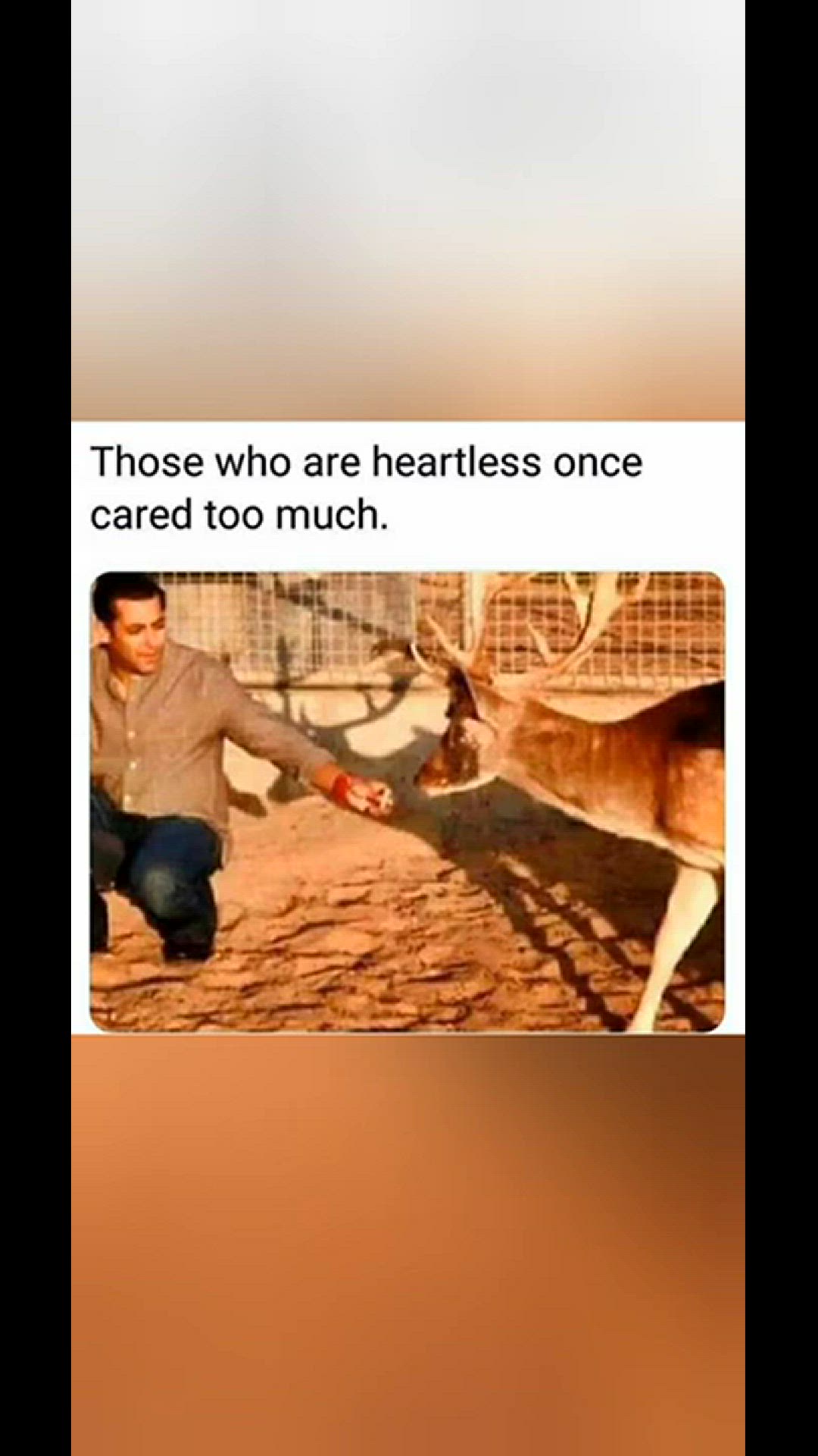 'Video thumbnail for funny memes that will make you laugh #256 || memes pictures || funny relatable memes 😃 #shorts'
