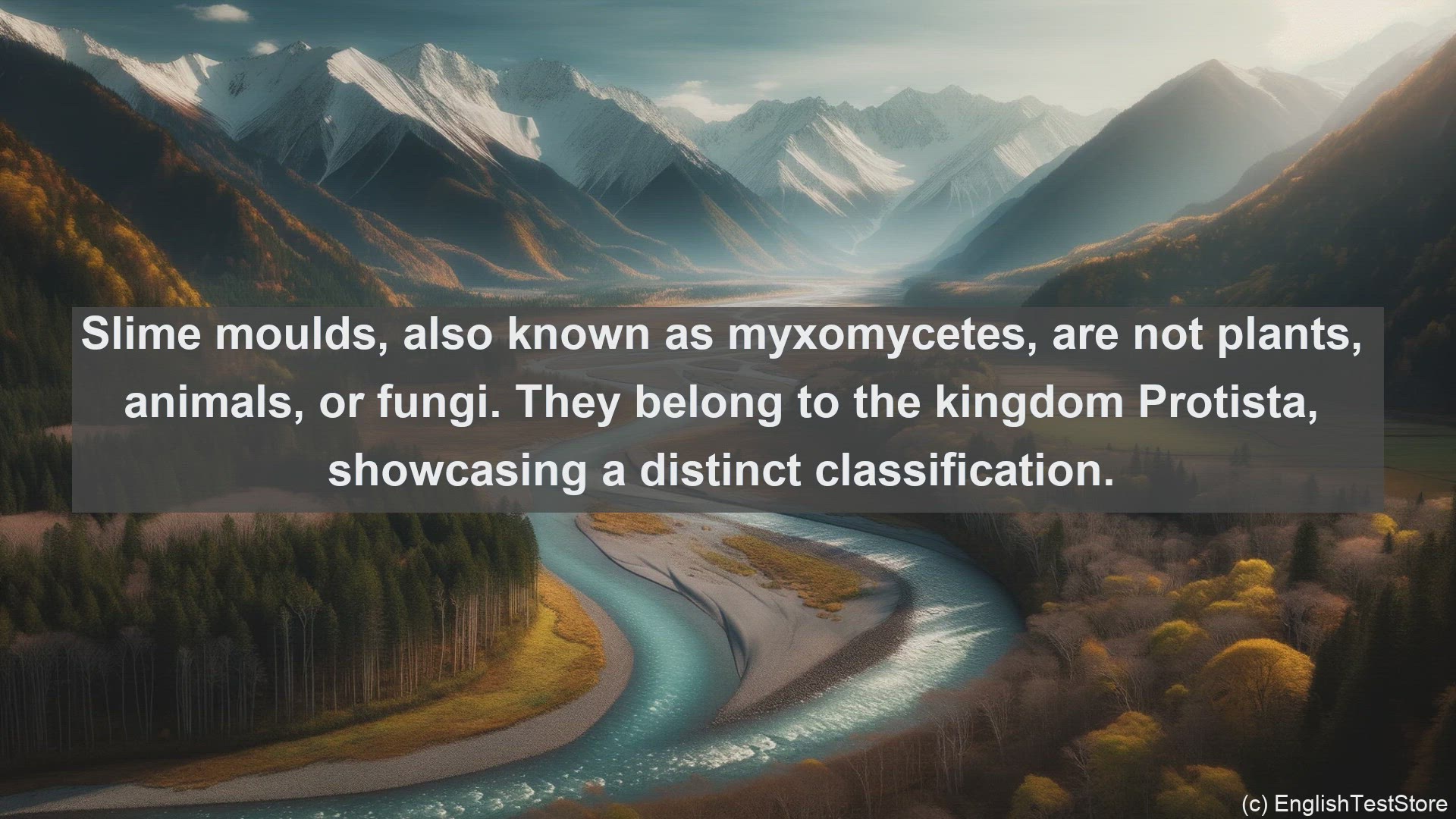'Video thumbnail for Slime moulds in science  definition and examples'