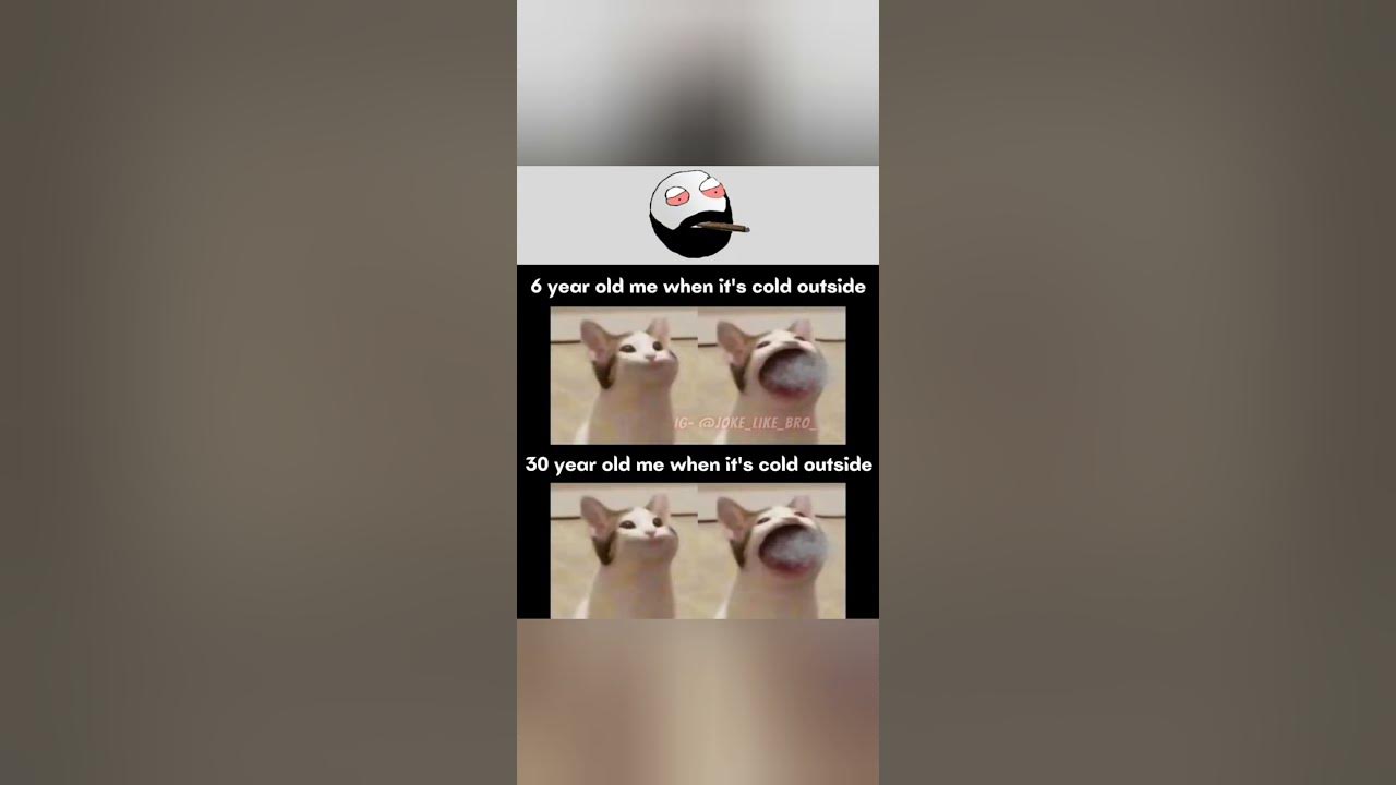 'Video thumbnail for funny memes that will make you laugh #490 || legend memes ||  funny relatable memes 😂 #clean #shorts'