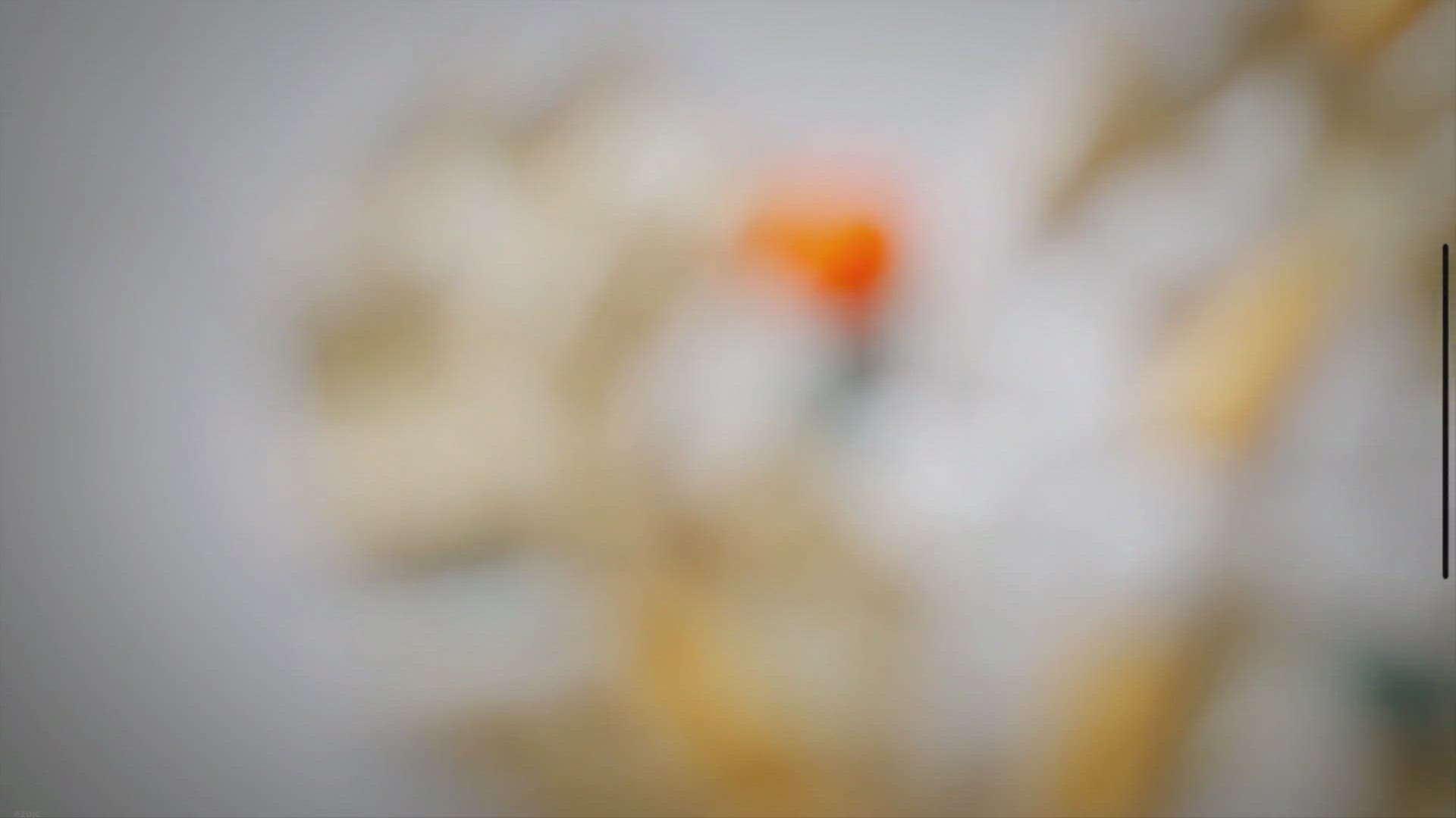 Video thumbnail for Exploring the Science Behind Omeprazole: Understanding its Mechanism of Action and Benefits for Children with Acid Reflux and GERD