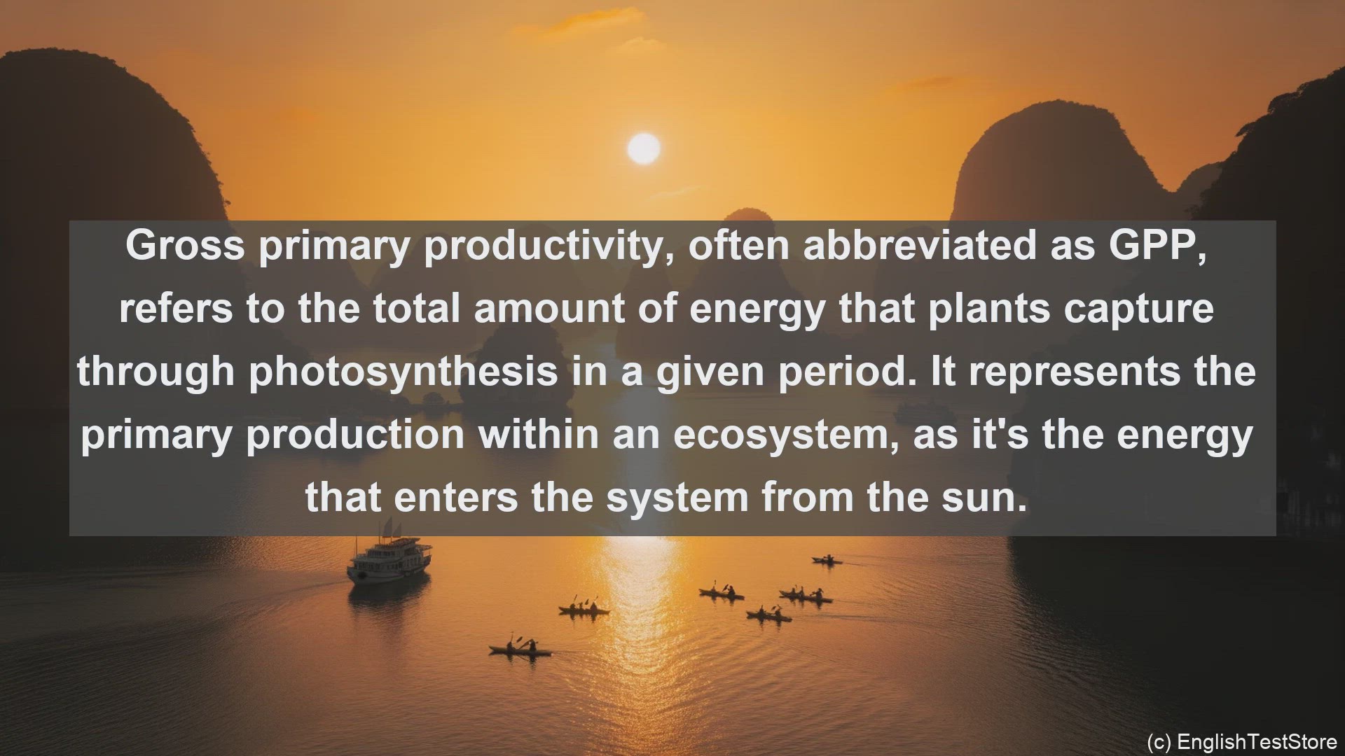 'Video thumbnail for Gross primary productivity in science  definition and examples'