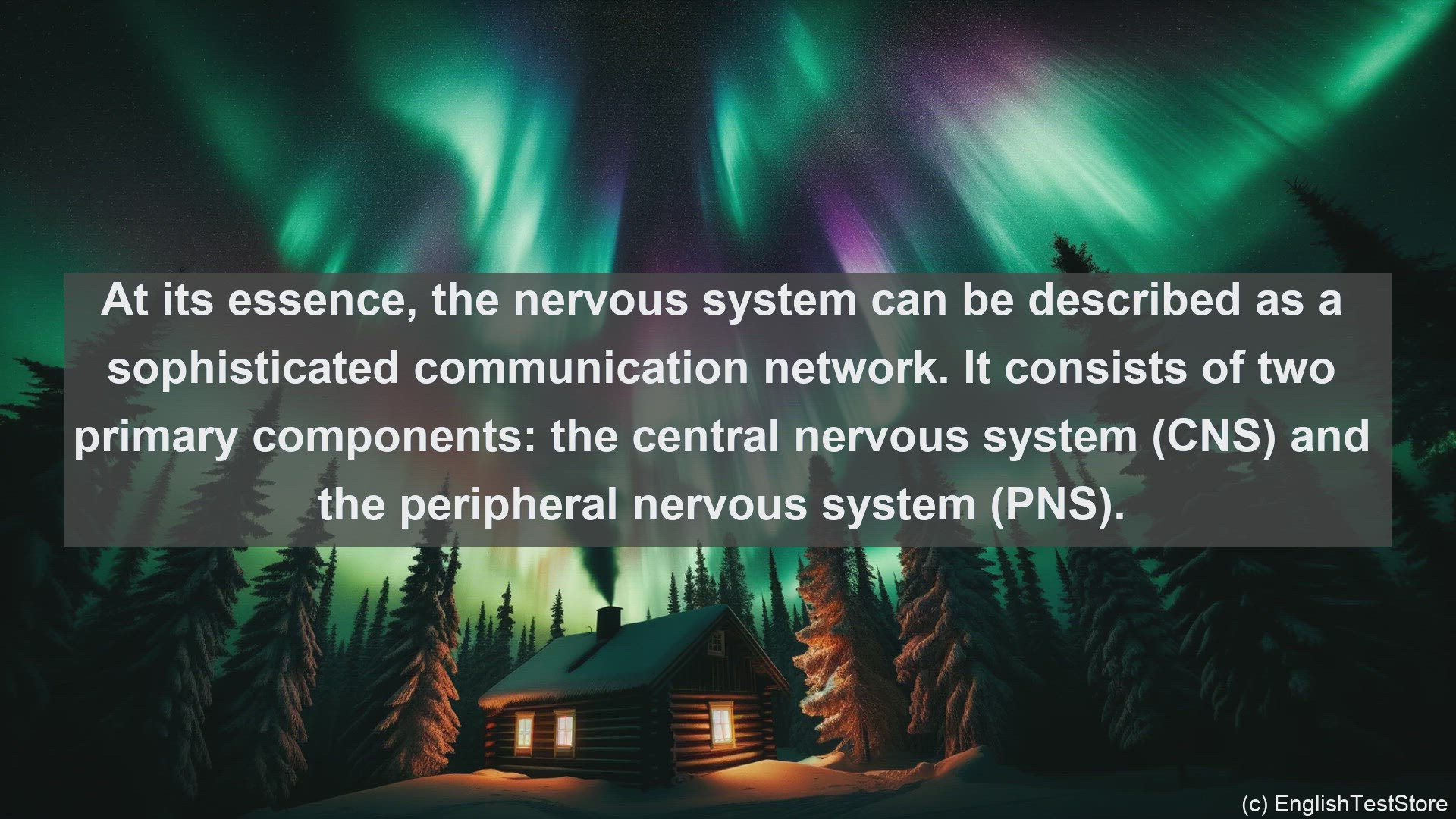 'Video thumbnail for Nervous system in science  definition and examples'