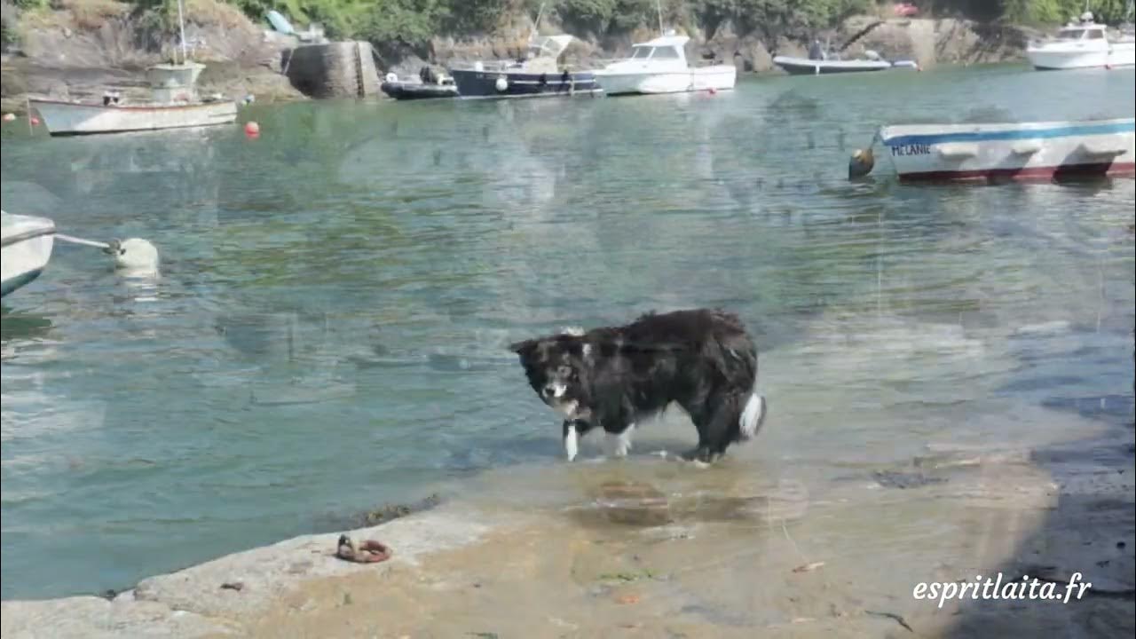 Video thumbnail for Le port de Doëlan