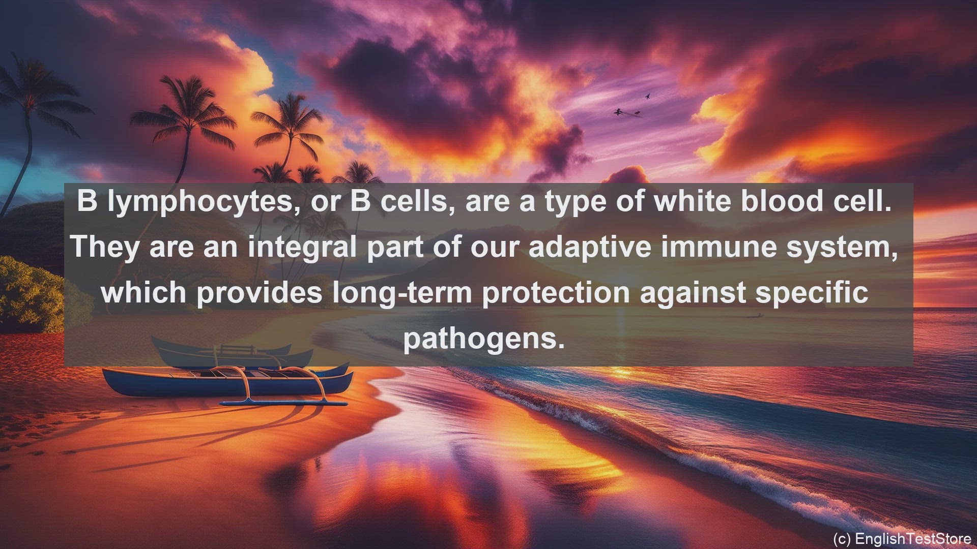 'Video thumbnail for B lymphocyte in science  definition and examples'