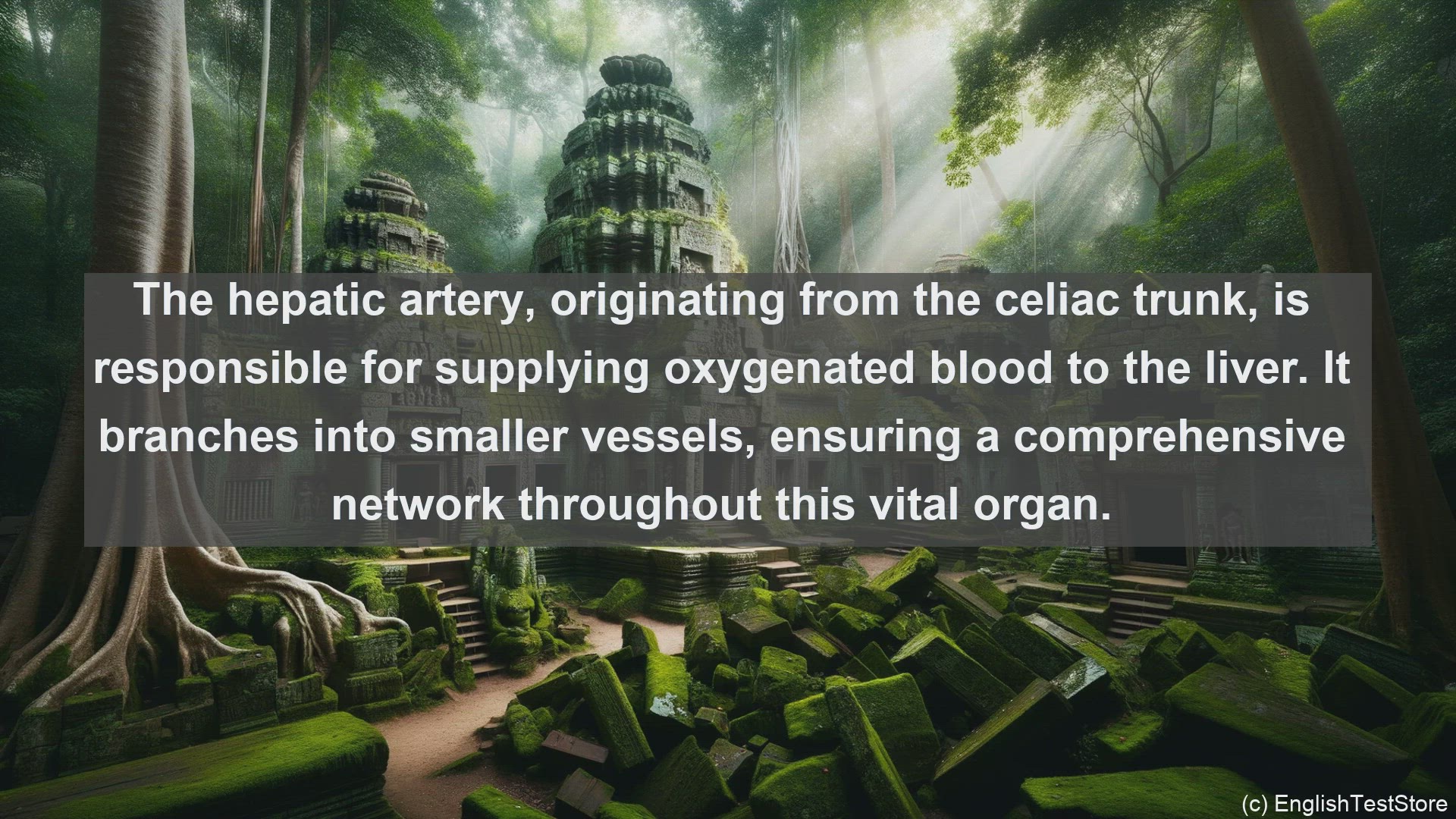 'Video thumbnail for Hepatic artery in science  definition and examples'