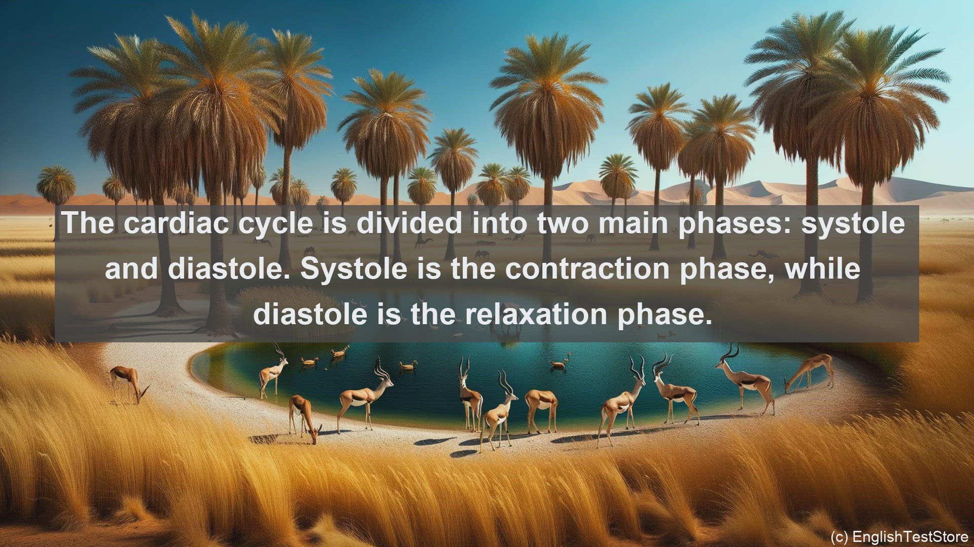 'Video thumbnail for Cardiac cycle in science  definition and examples'