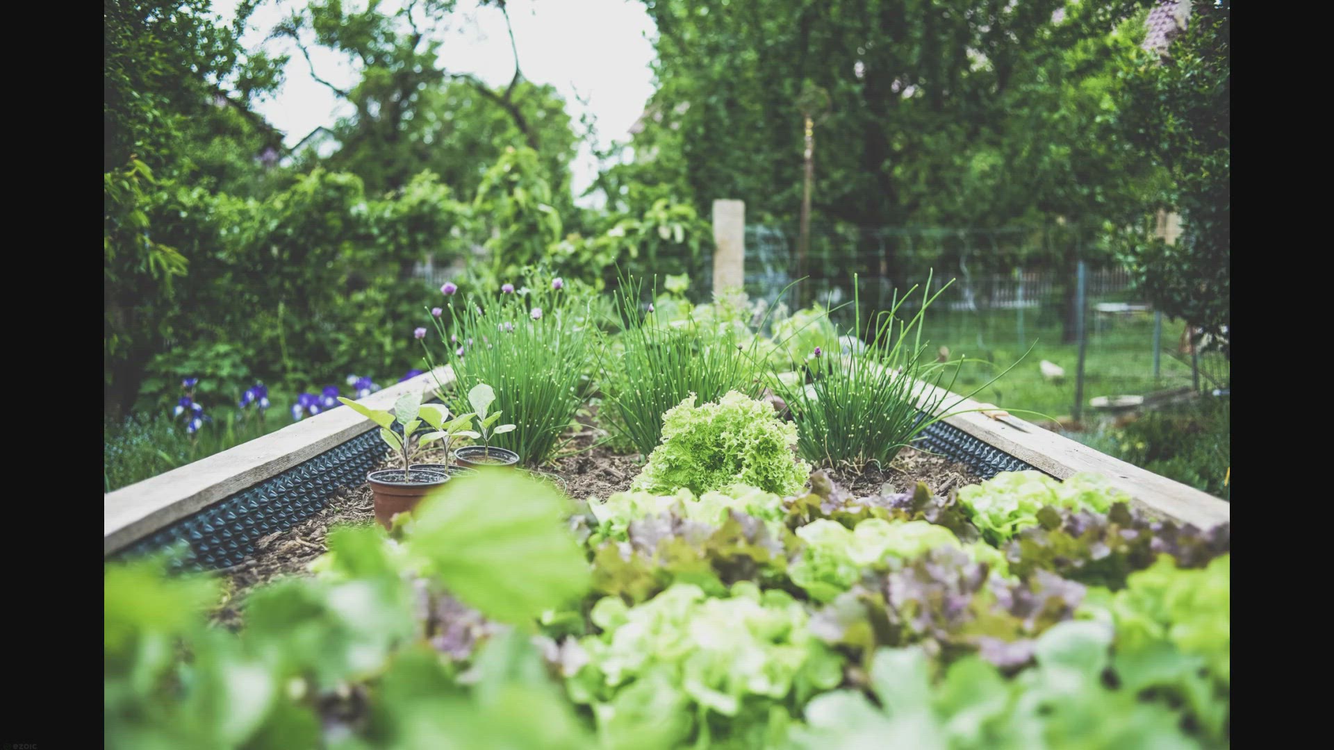 Video thumbnail for Greening Up Your Small Balcony: Transforming Concrete into a Lush Oasis