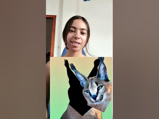 Video thumbnail for Reto imposible #relsviralシ #retosvirales #Entretenimiento