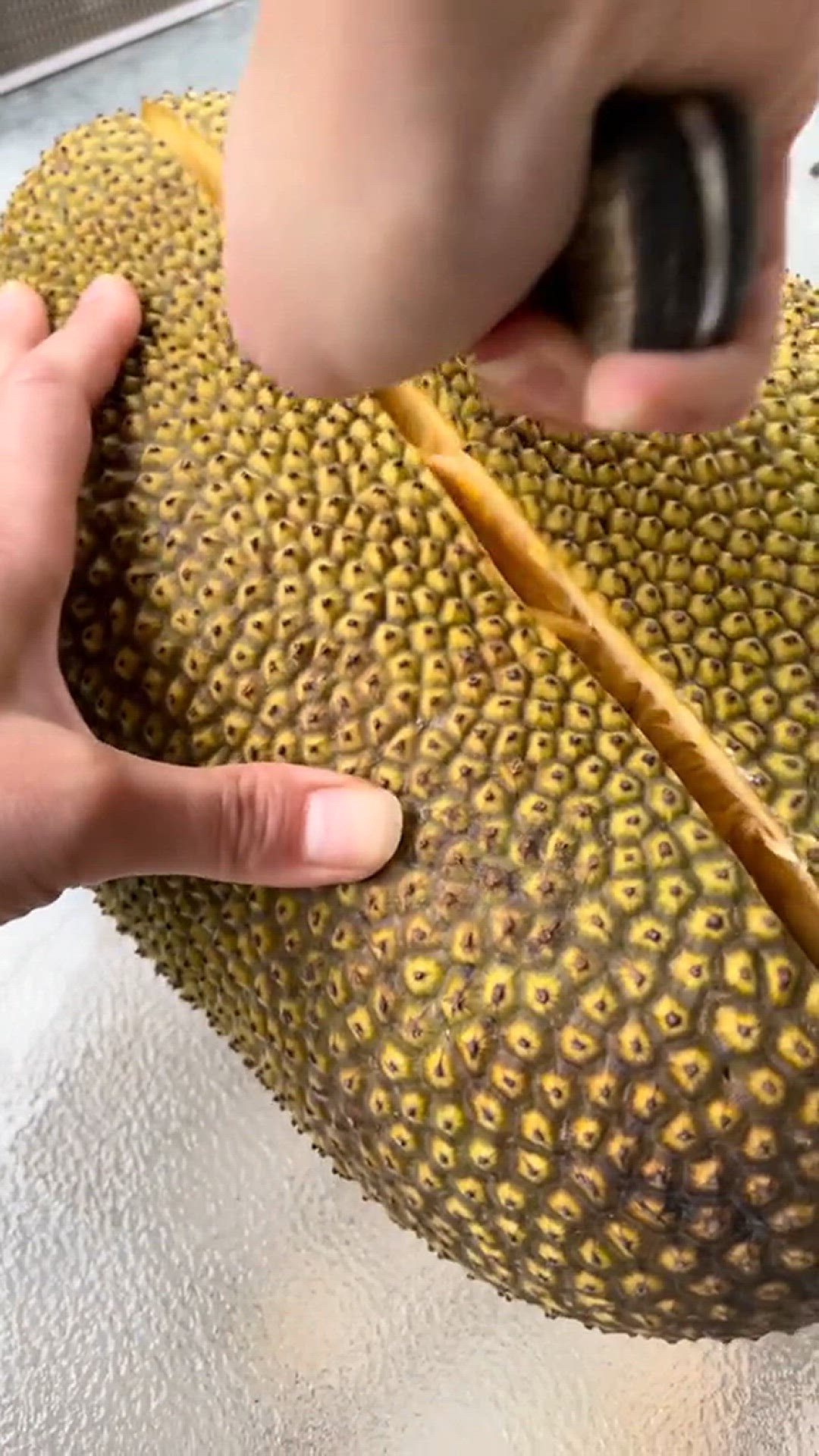 'Video thumbnail for How To grow Jackfruits are a great meat substitute'