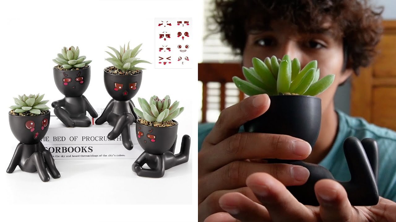 'Video thumbnail for Yastouay 4 Pack Fake Succulents Plants Review'
