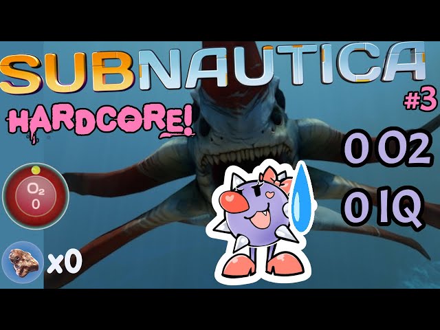 Video thumbnail for 🔴Zelda Plays Subnautica Hardcore #3 🎀 The CRASH Episode