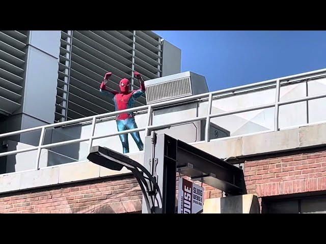 'Video thumbnail for Amazing Spider-Man at Disney California Adventure Avenger's Campus 🕷 #amazingspiderman #disney'