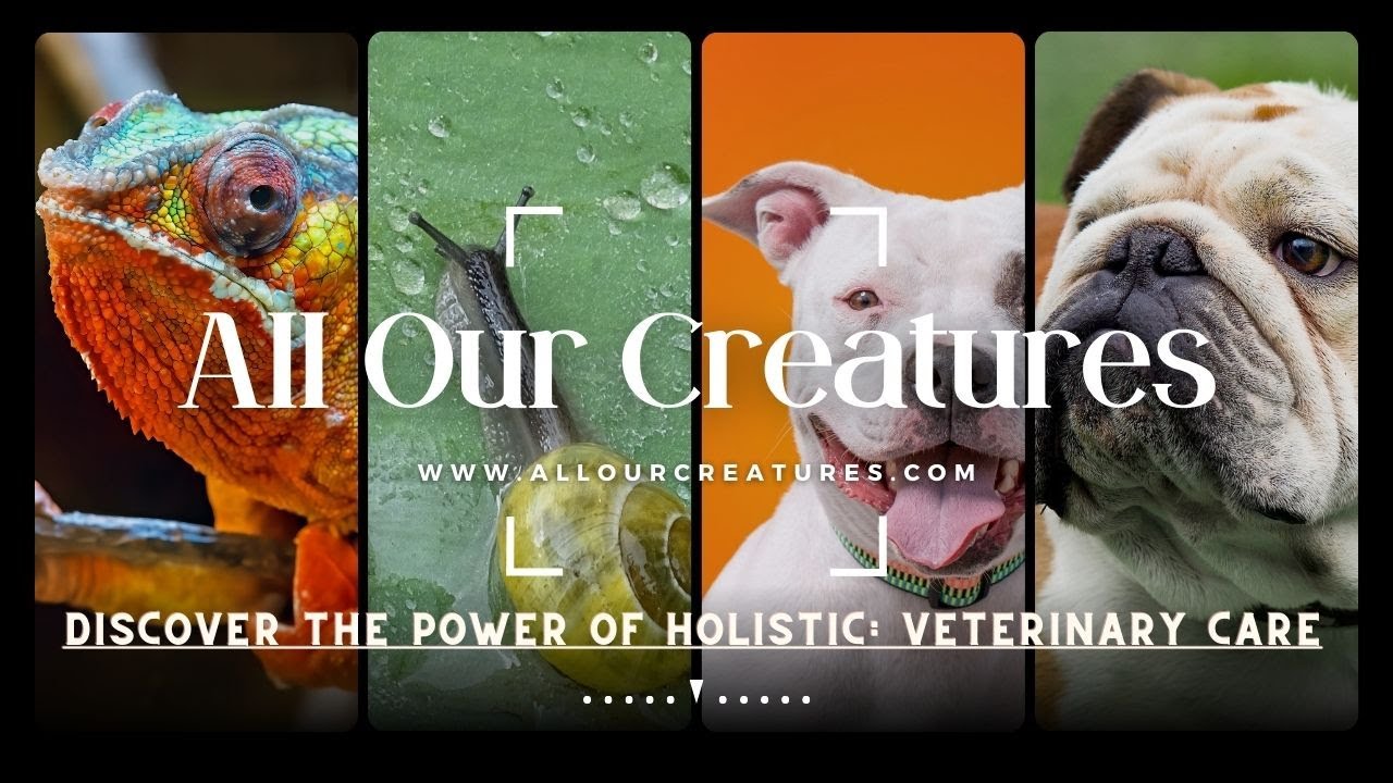 Video thumbnail for Discover the Power of Holistic: Veterinary Care