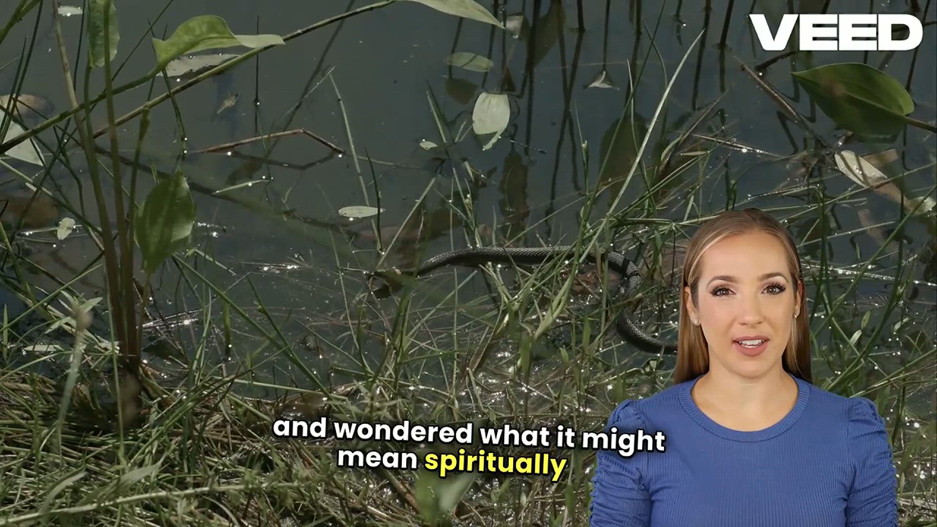 'Video thumbnail for Unlocking 15 Biblical Meanings of Black Snakes in Dreams '