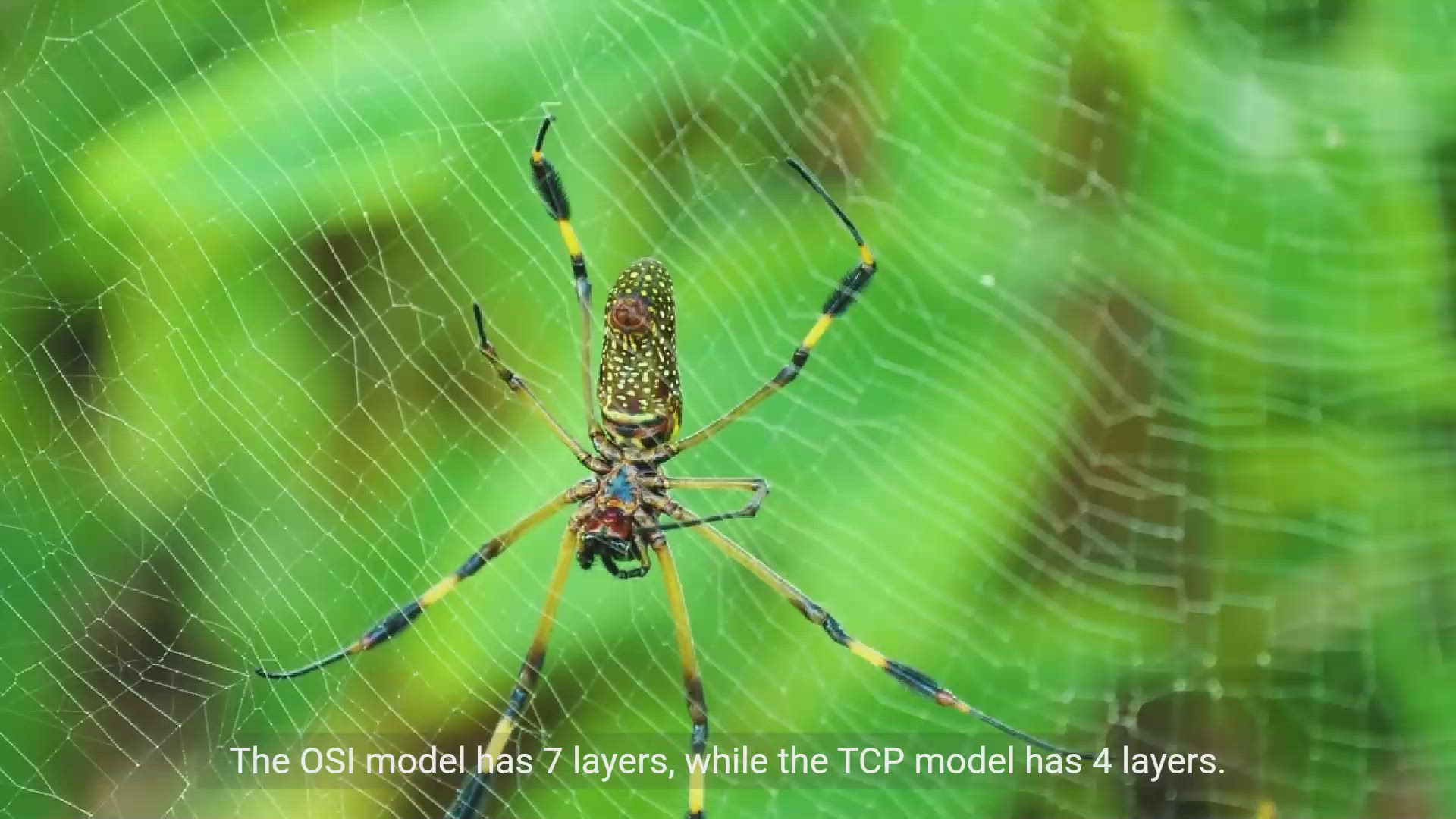 'Video thumbnail for OSI vs TCP Model Comparison: Understanding Networking'
