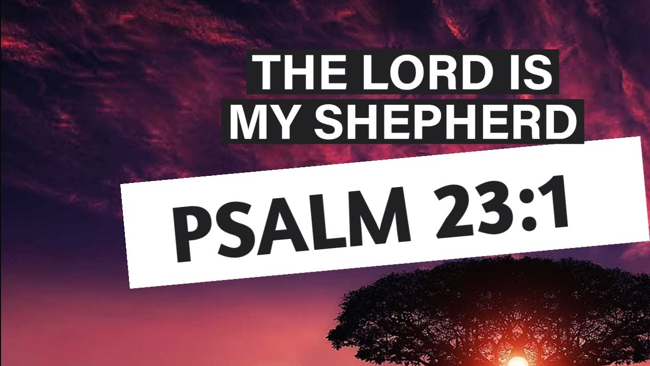 Playlist thumbnail for Divine Verse Insight