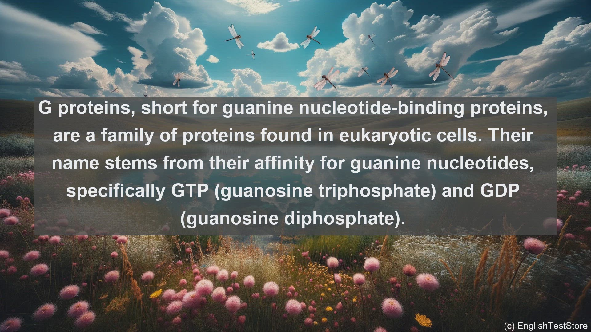 'Video thumbnail for G protein in science  definition and examples'