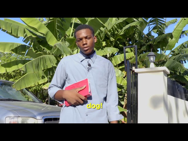 Video thumbnail for The World According To Stephen: So It's A Wibe Den