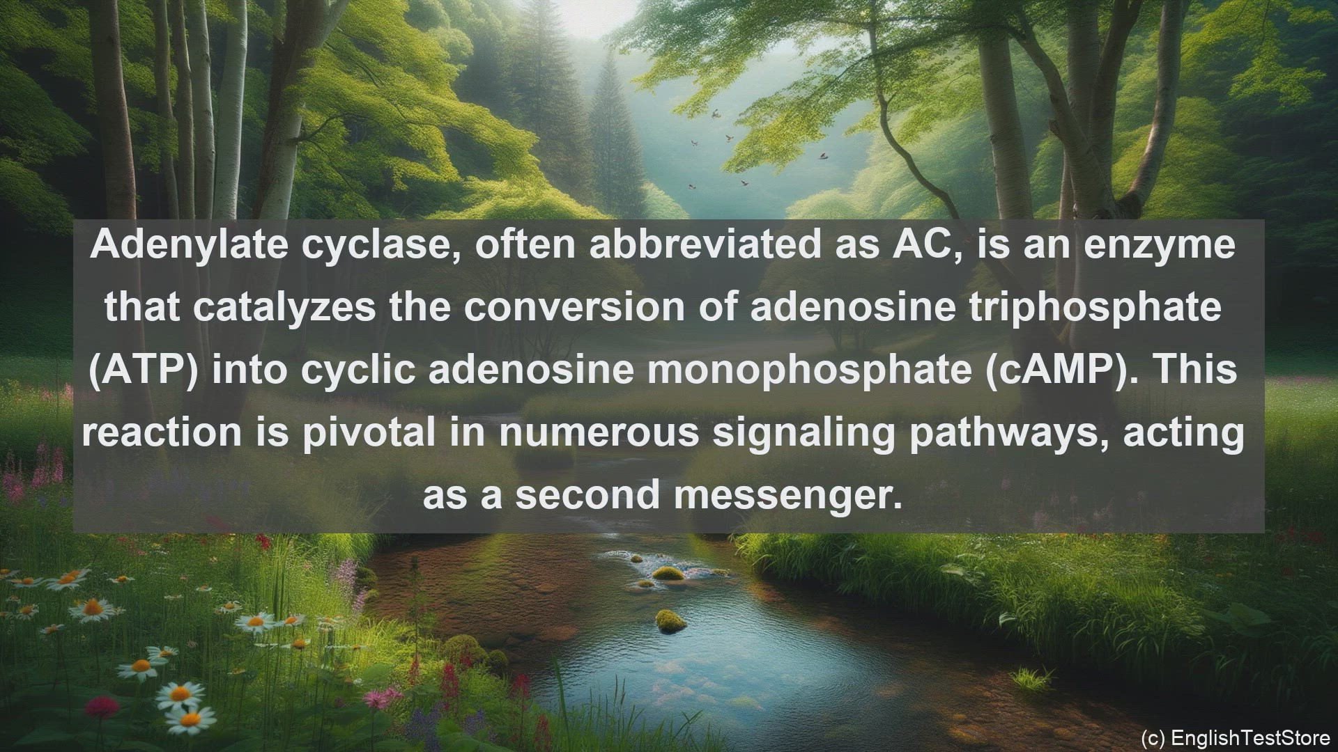 'Video thumbnail for Adenylate cyclase in science  definition and examples'