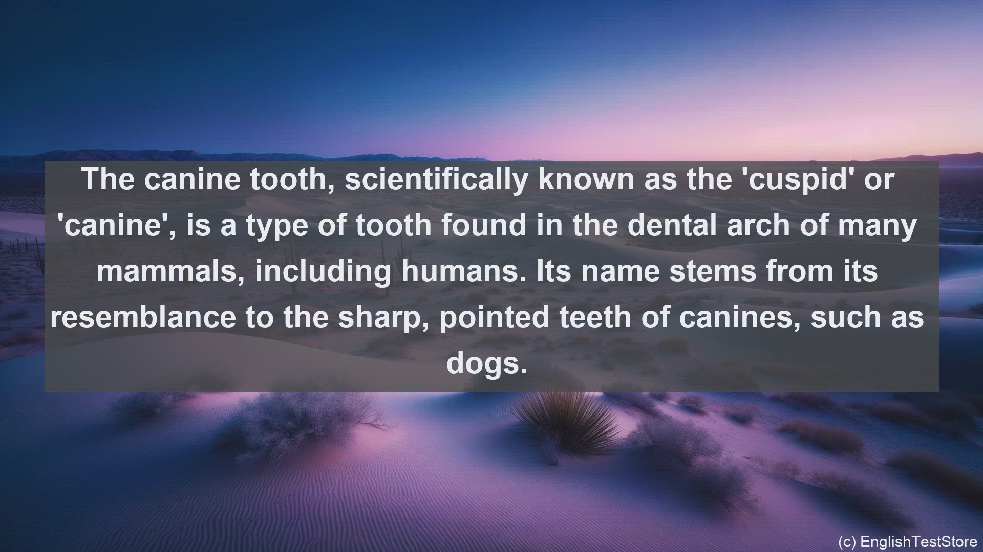 'Video thumbnail for Canine tooth in science  definition and examples'