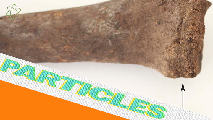 Video thumbnail for Bones Of A Fancy-Pants Viking Remains