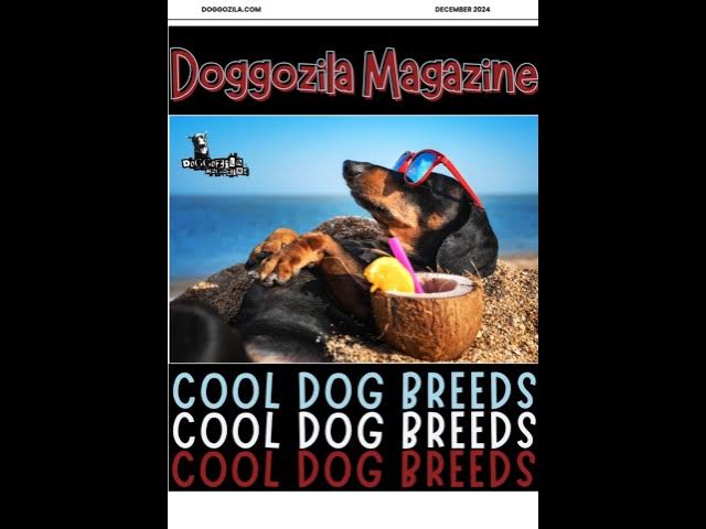 'Video thumbnail for Cool Dog Breeds by Doggozila Magazine at Doggozila.com #dogslife #cooldogs #doglifestyle'