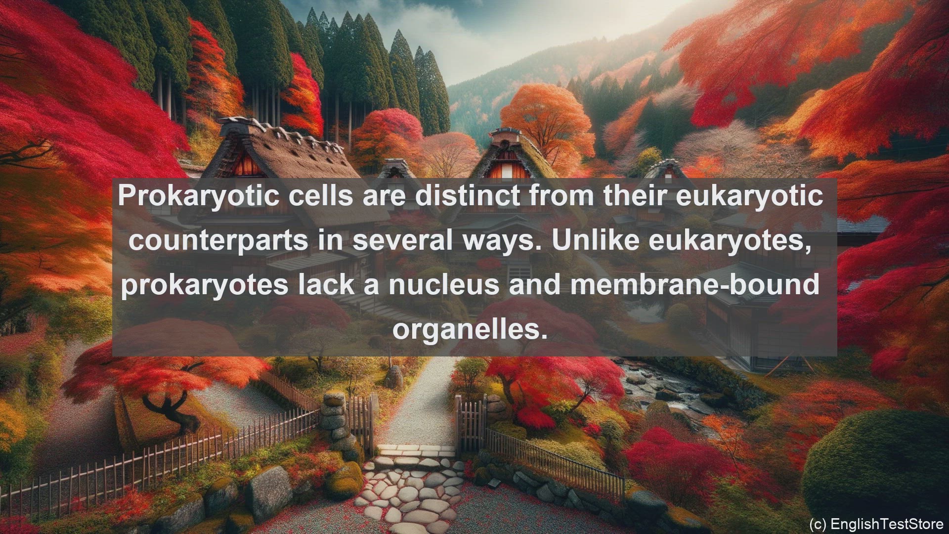 'Video thumbnail for Prokaryotic cells in science  definition and examples'