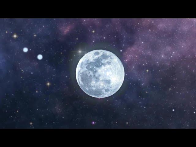 Video thumbnail for The Arachnoterror #stories #storytelling #fiction #music #suspense #spider #arachnophobia #creepy