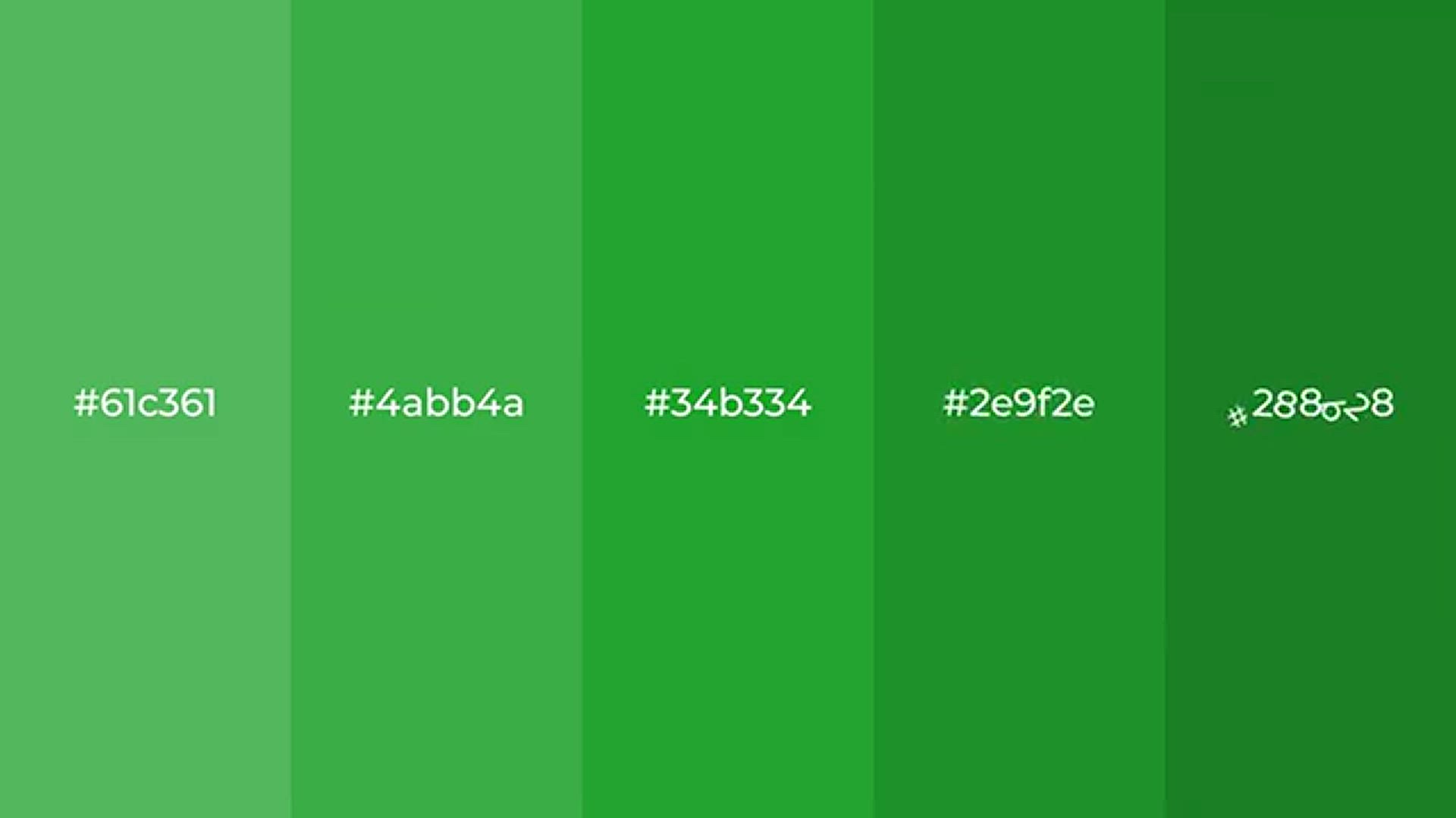 Color kermit the frog green. Convert to RGB, Pantone, Hex, HSL 