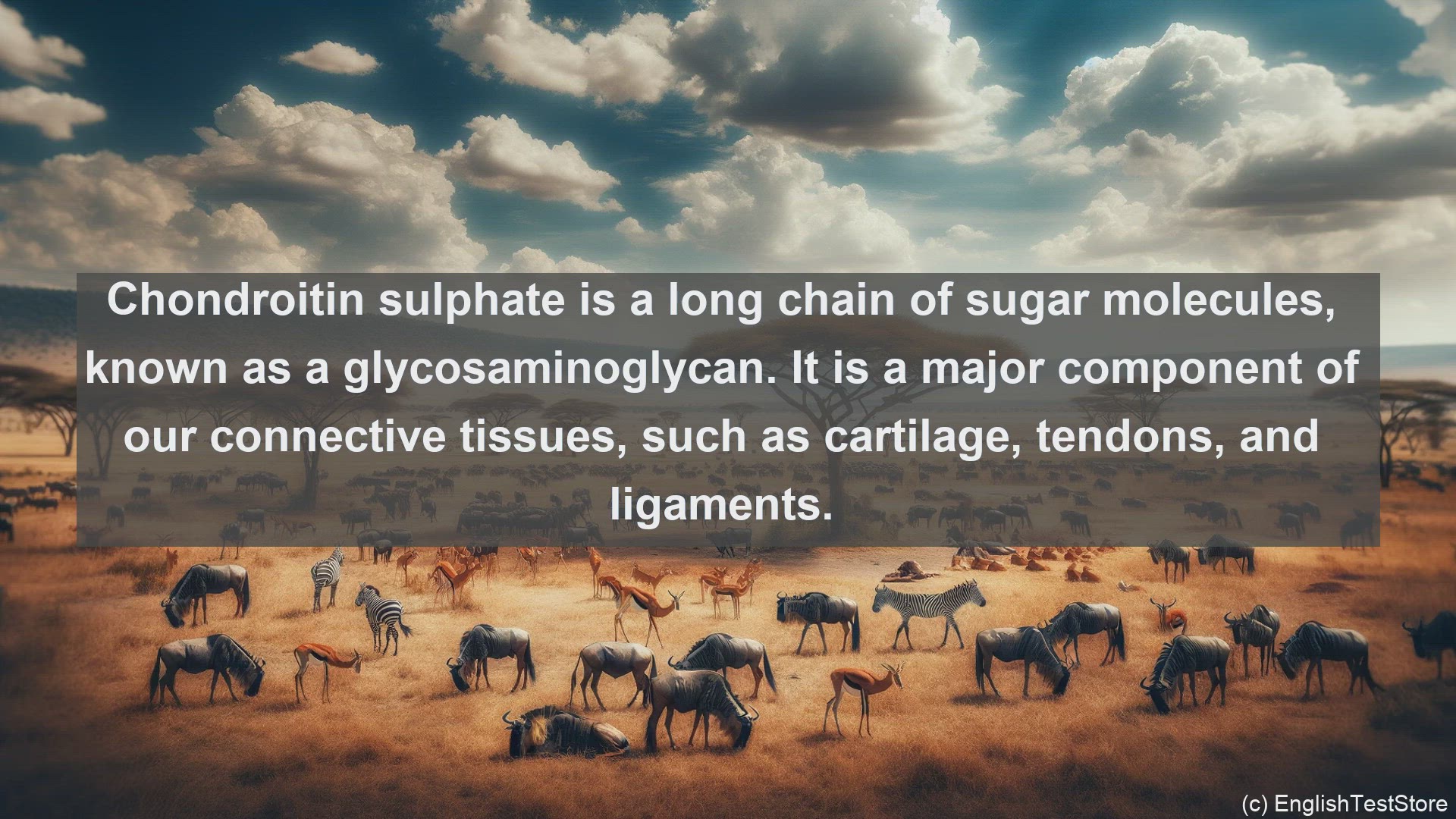 'Video thumbnail for Chondroitin sulphate in science  definition and examples'