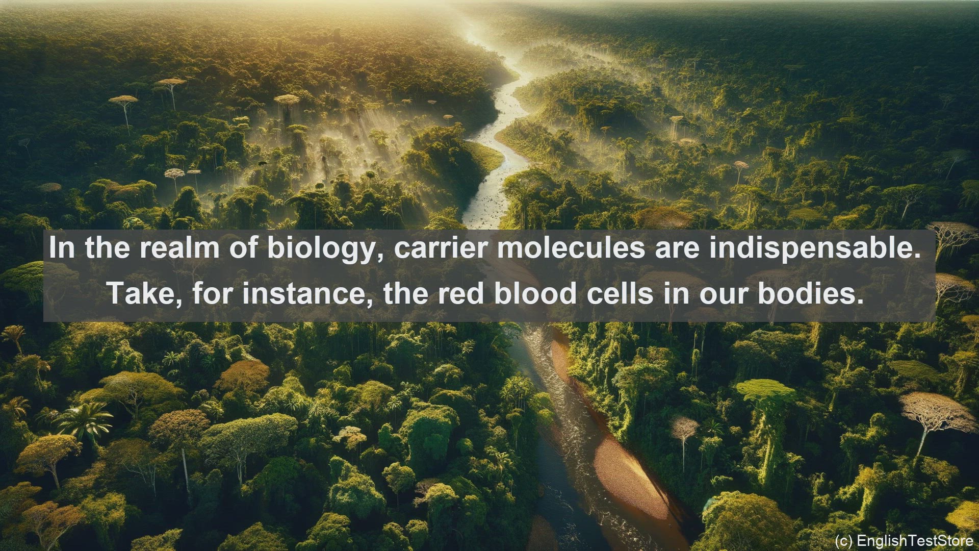 'Video thumbnail for Carrier molecule in science  definition and examples'