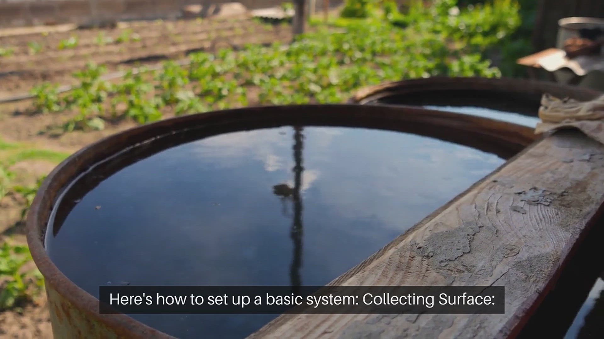 'Video thumbnail for DIY Rainwater Harvesting System'