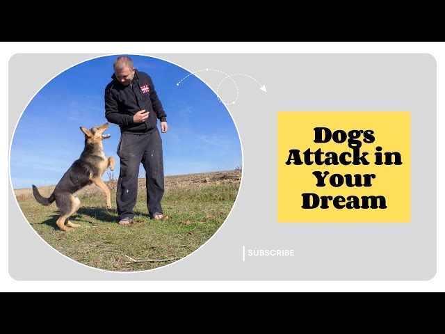 Video thumbnail for Dogs Attack in Your Dream: Uncover the Hidden Spiritual Meaning
