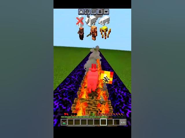 Video thumbnail for Minecraft mobs Vs campfire 🔥 #minecraft #silviogamer #gaming #minecraftshorts #shorts