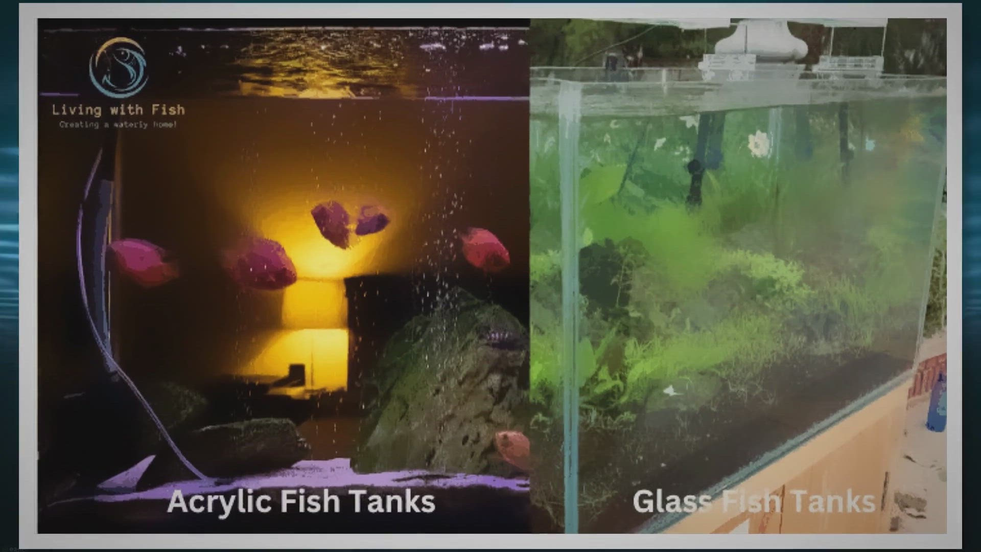 Video thumbnail for Glass vs. Acrylic Fish Tanks: Pros and Cons