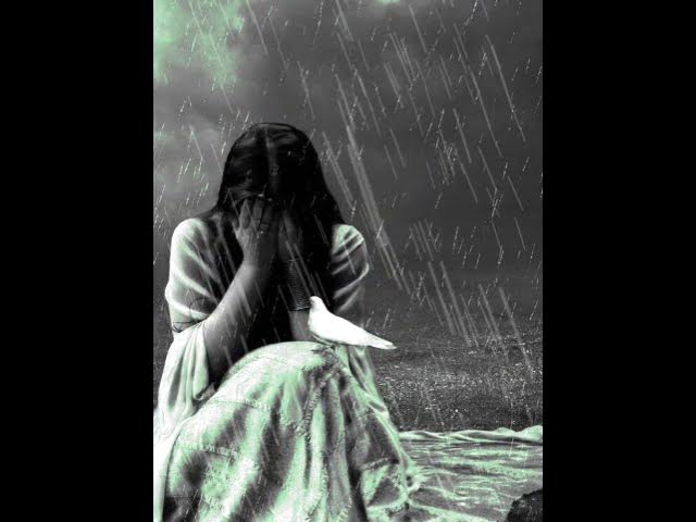 Video thumbnail for 13 February 2024