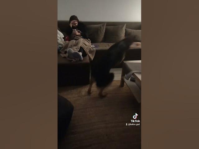 'Video thumbnail for baloogsd'