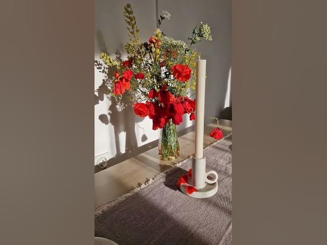 Playlist thumbnail for Home