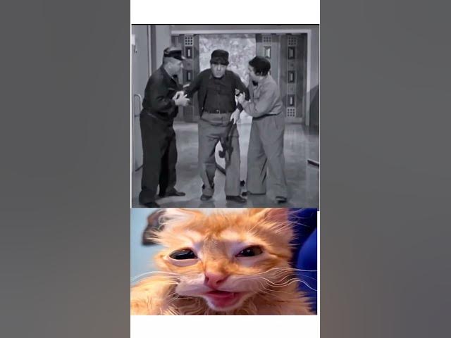 Video thumbnail for charlie chaplin CC Moments 🤣 #cat #funny #meme