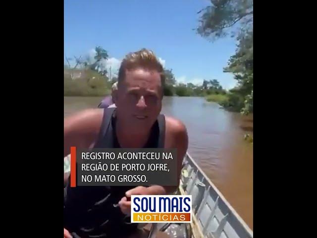 'Video thumbnail for Cantor Leonardo dá de cara com onça-pintada em viagem ao Pantanal'