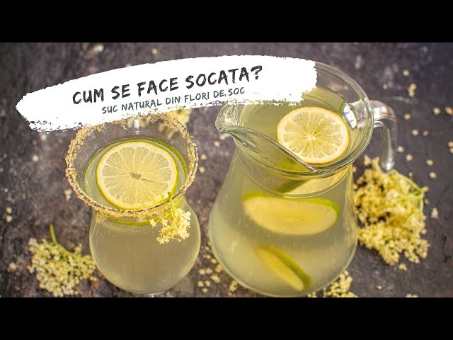 'Video thumbnail for Cum se face socata? Suc din flori de soc cu lămâie, 100% natural. E gata în 2 zile! | Bucate Aromate'