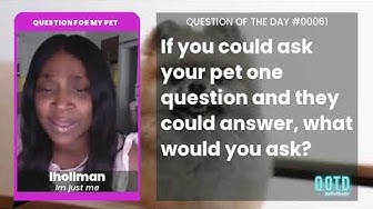 Video thumbnail for lhollman would ask her pet why he won't leave her alone. Everyone needs space!