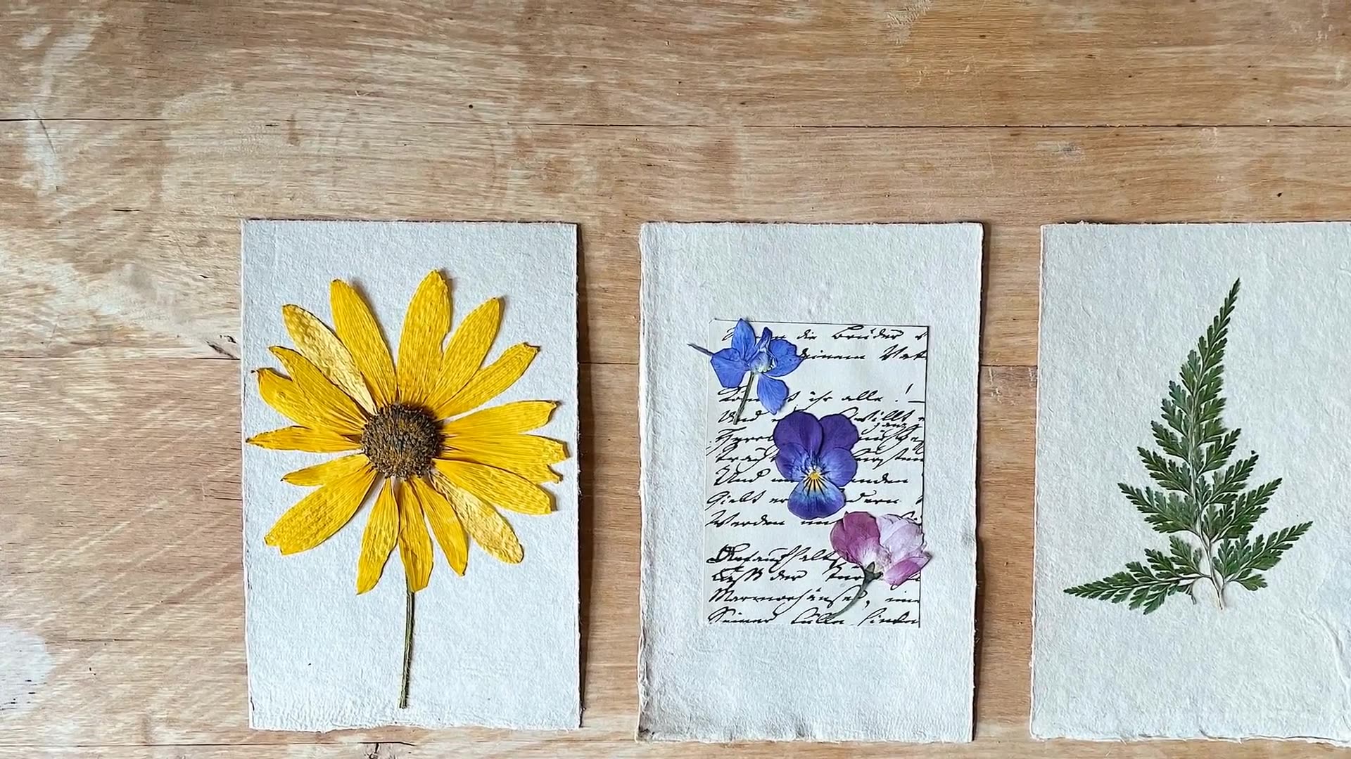 Video thumbnail for How to Press Flowers: A Complete Guide