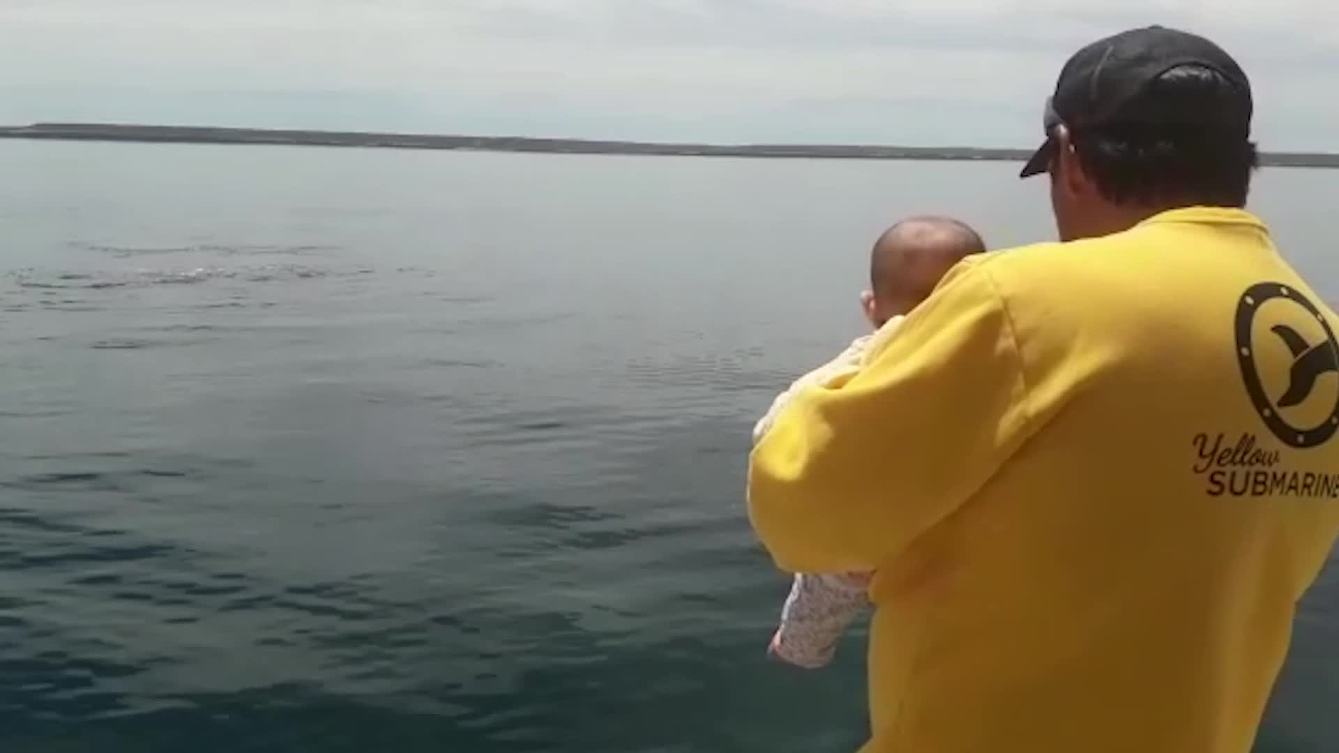 Video thumbnail for Whale Plays Peek A Boo With Baby | Wild-ish TV